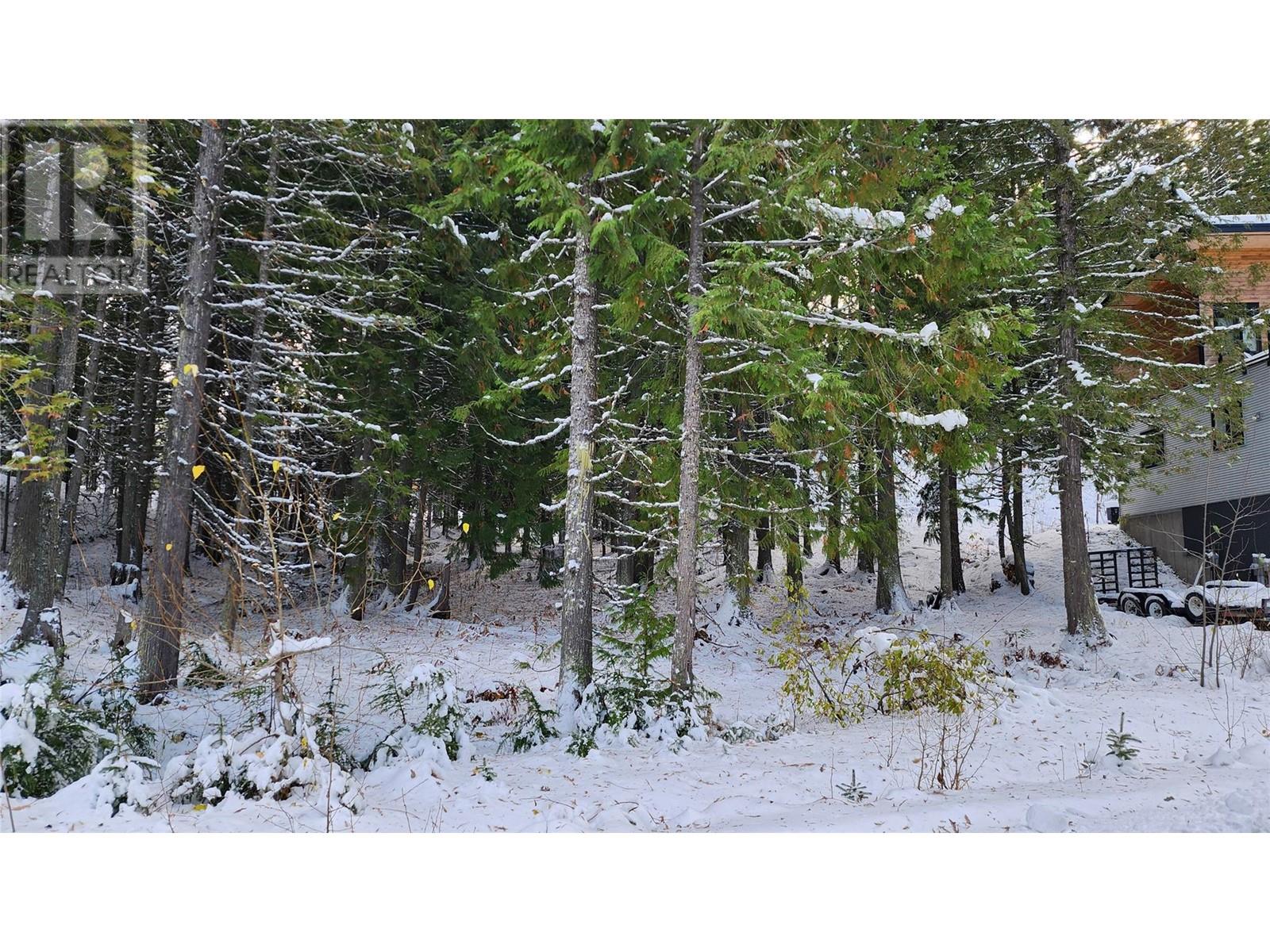 210 Cedar Creek Place, Rossland, British Columbia  V0G 1Y0 - Photo 6 - 10327718