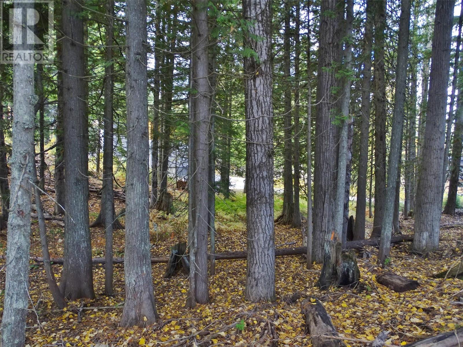210 Cedar Creek Place, Rossland, British Columbia  V0G 1Y0 - Photo 28 - 10327718