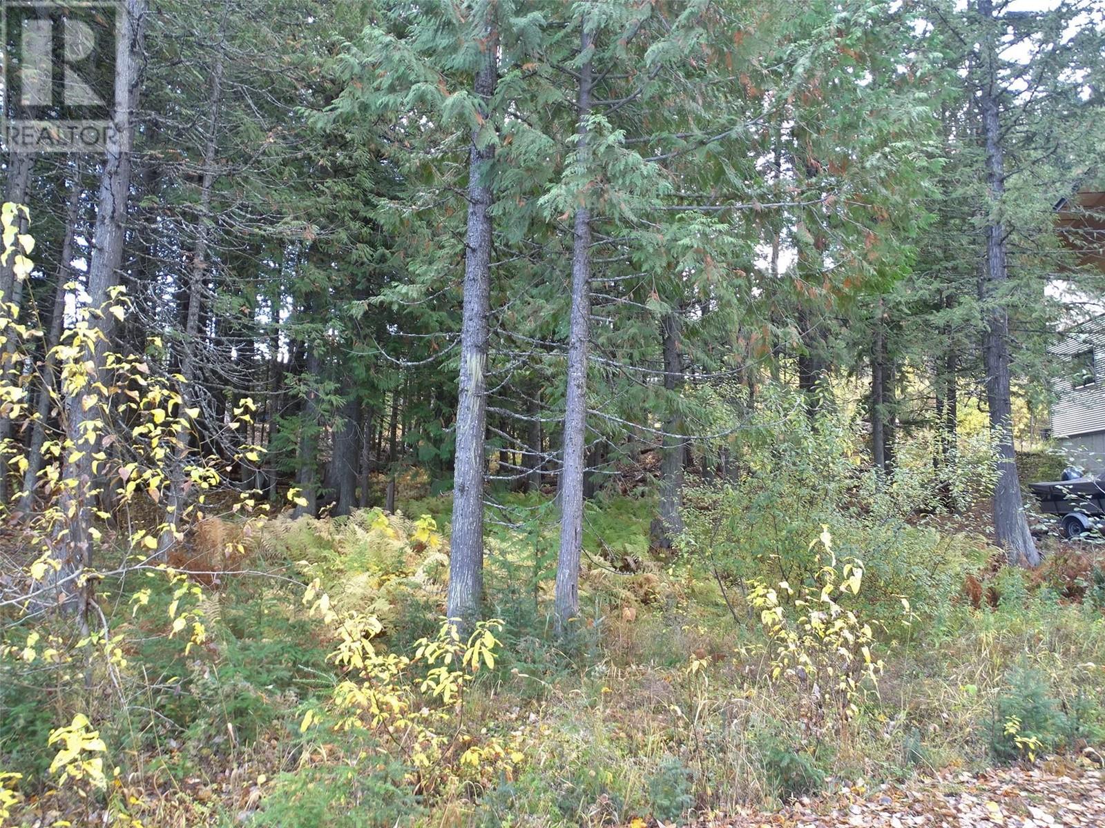 210 Cedar Creek Place, Rossland, British Columbia  V0G 1Y0 - Photo 27 - 10327718