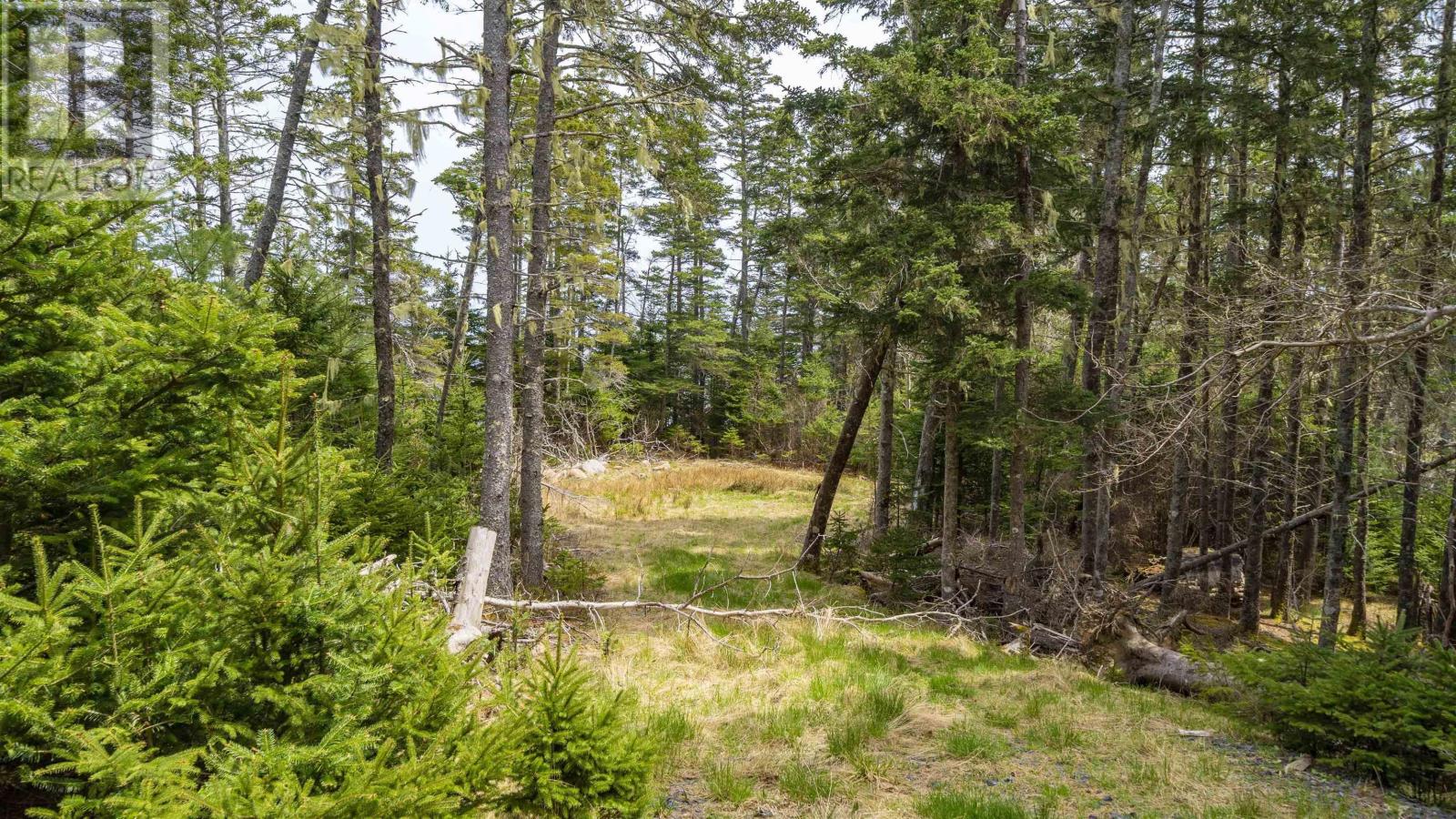 Lot 11-C 22 Peninsula Road, Feltzen South, Nova Scotia  B0J 2X0 - Photo 21 - 202510366