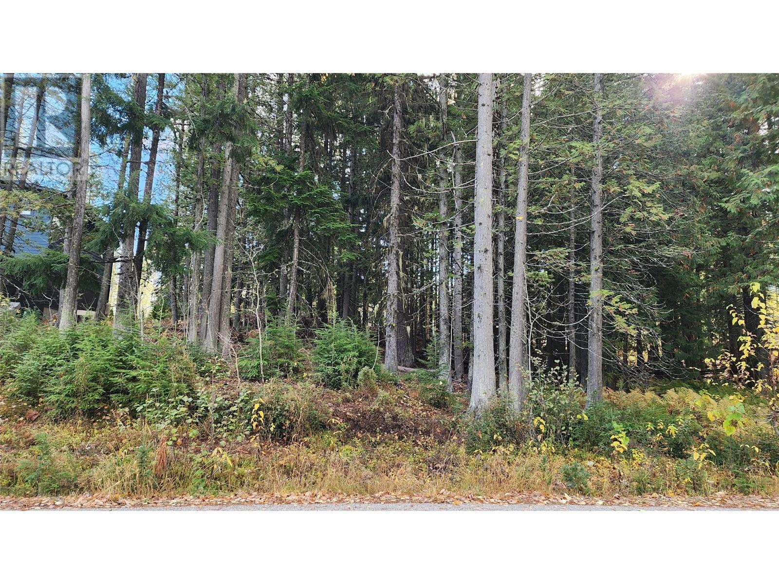 206 Cedar Creek Place, Rossland, British Columbia  V0G 1Y0 - Photo 3 - 10327784