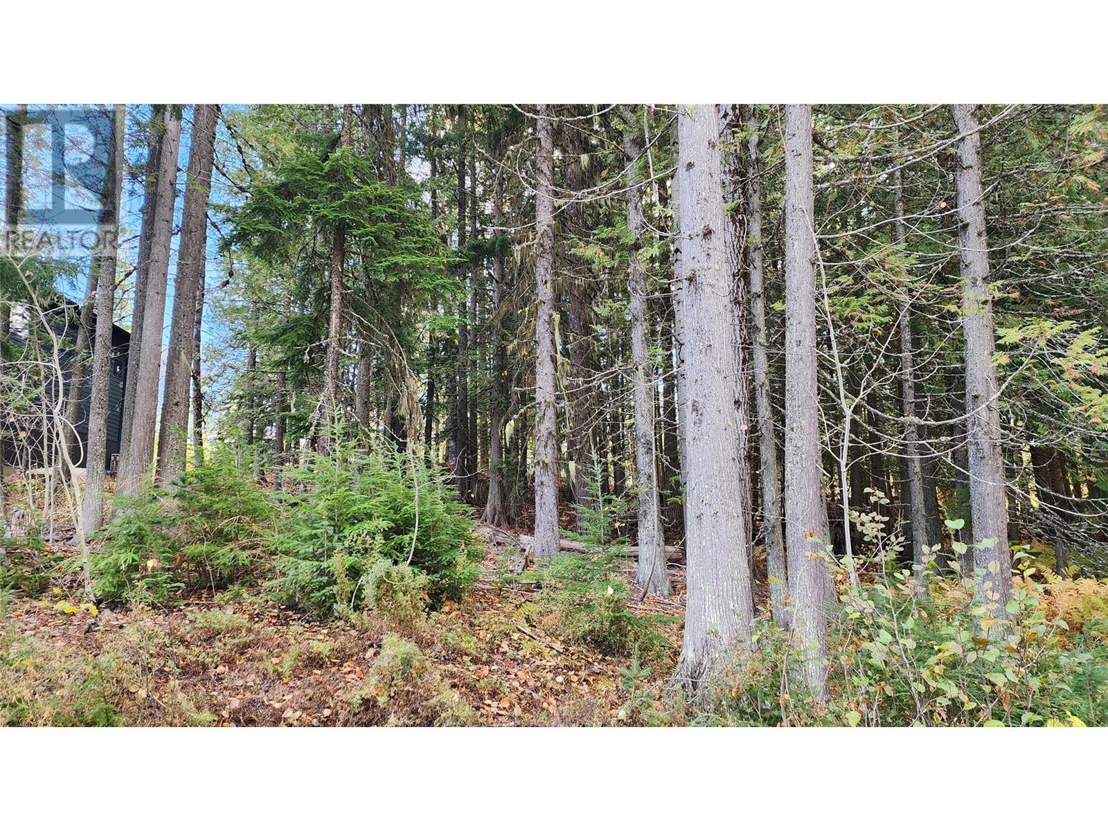 206 Cedar Creek Place, Rossland, British Columbia  V0G 1Y0 - Photo 2 - 10327784
