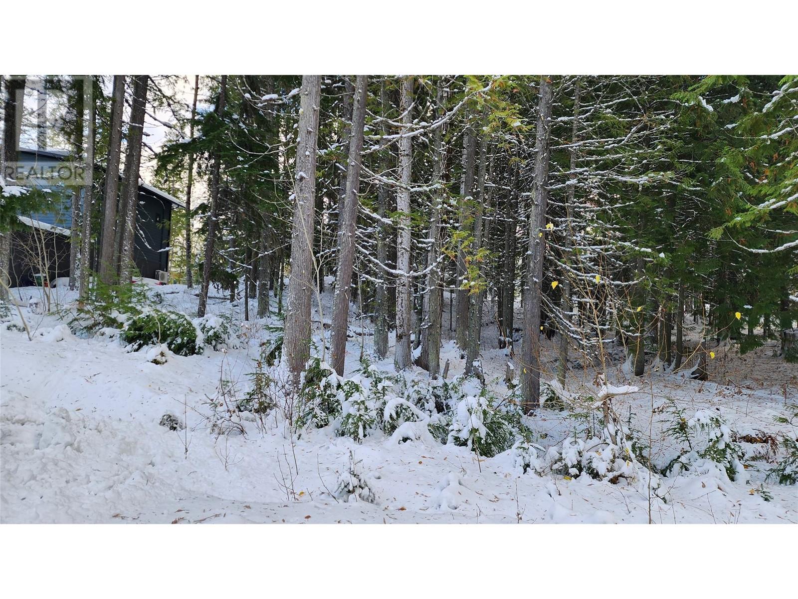 206 Cedar Creek Place, Rossland, British Columbia  V0G 1Y0 - Photo 7 - 10327784