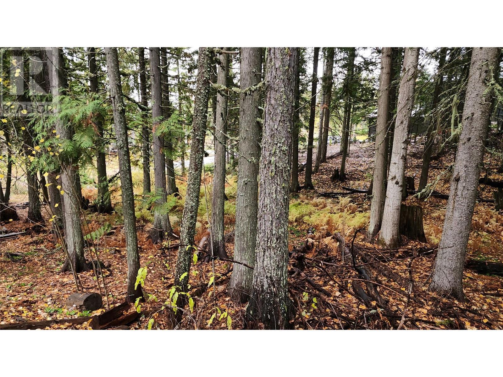 206 Cedar Creek Place, Rossland, British Columbia  V0G 1Y0 - Photo 6 - 10327784