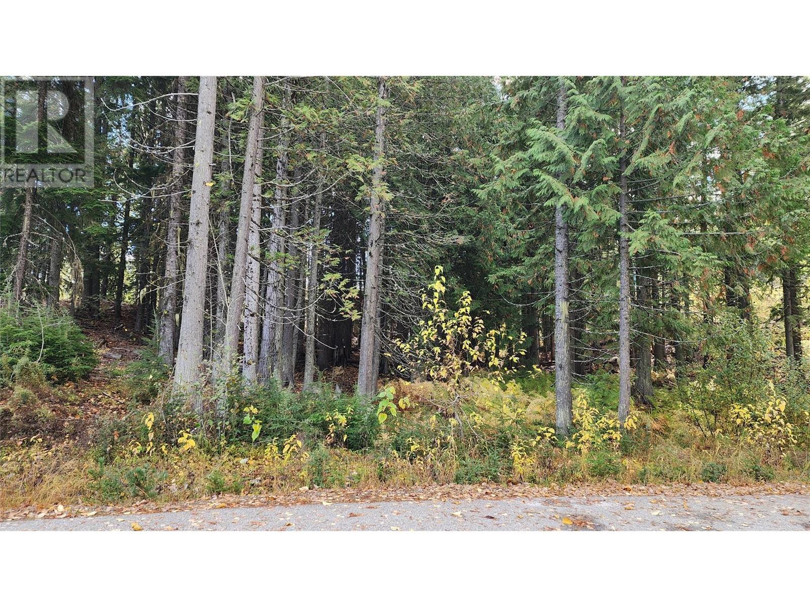 206 Cedar Creek Place, Rossland, British Columbia  V0G 1Y0 - Photo 4 - 10327784