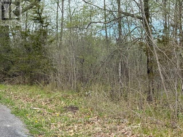 Pt Lt 8 Concession Road 10, Trent Hills, Ontario  K0K 3M0 - Photo 2 - X12135202
