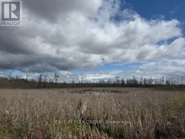 Pt Lt 8 Concession Road 10, Trent Hills, Ontario  K0K 3M0 - Photo 5 - X12135202