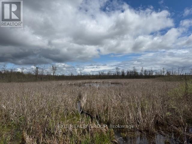Pt Lt 8 Concession Road 10, Trent Hills, Ontario  K0K 3M0 - Photo 6 - X12135202