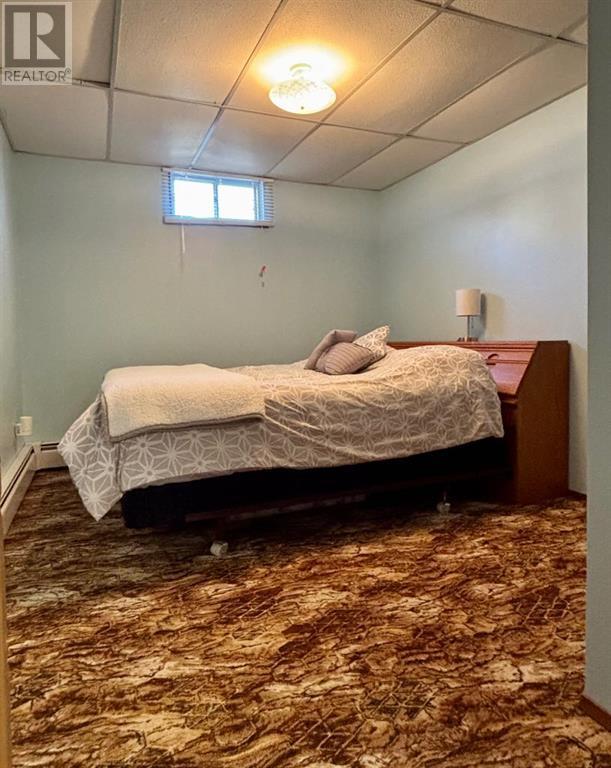 4210 53 Avenue, Provost, Alberta  T0B 3S0 - Photo 28 - A2219274