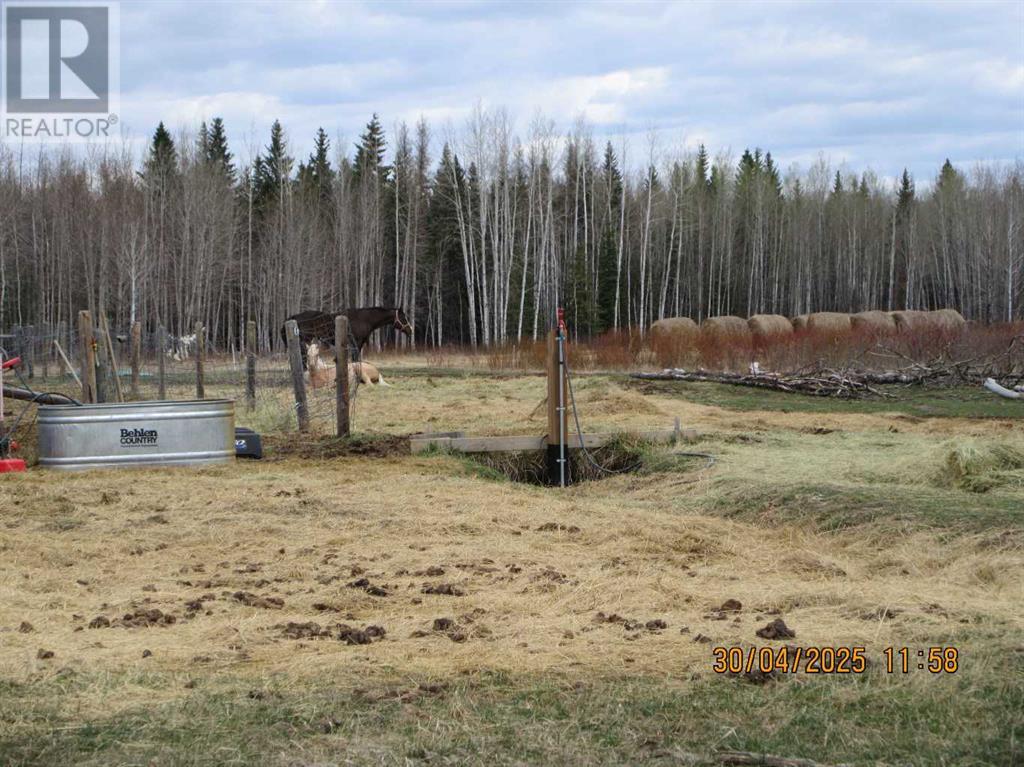 51504 Range Road 72, Tomahawk, Alberta  T7A 1S4 - Photo 6 - A2219331