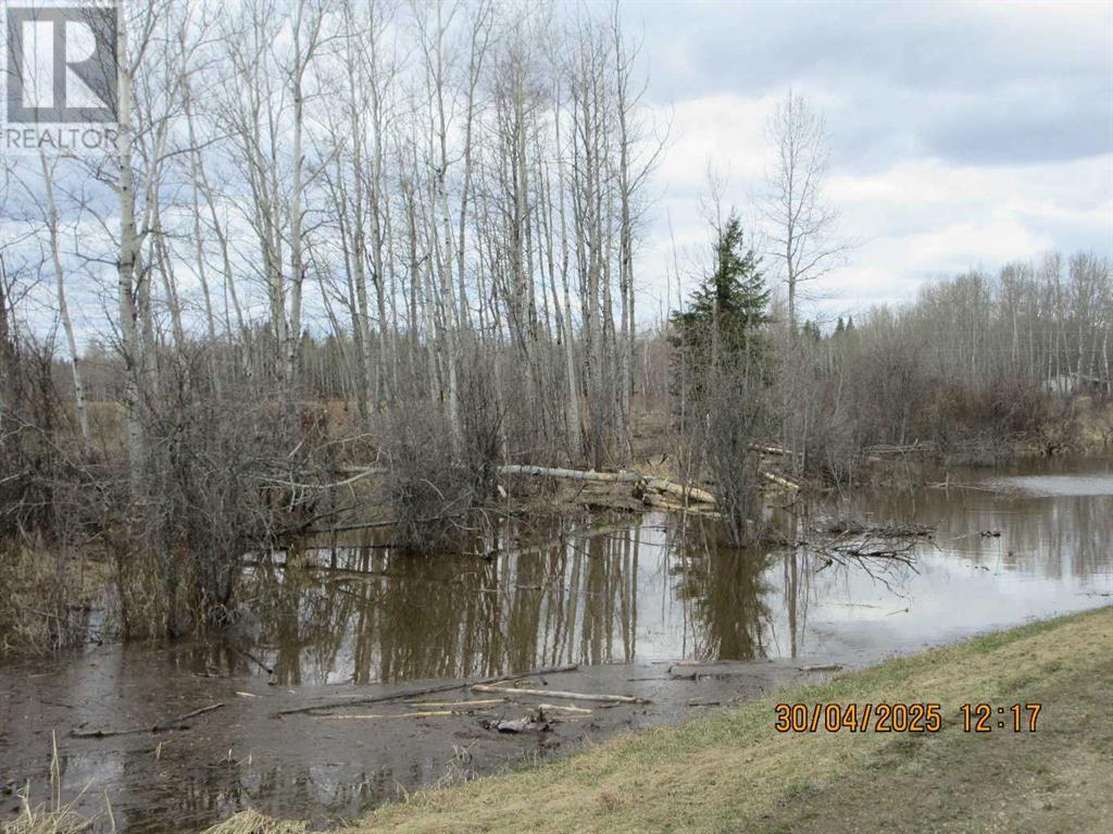 51504 Range Road 72, Tomahawk, Alberta  T7A 1S4 - Photo 20 - A2219331