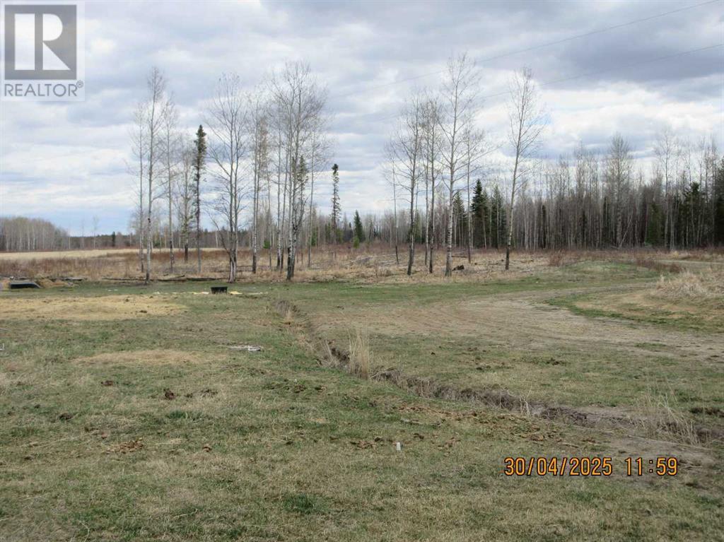 51504 Range Road 72, Tomahawk, Alberta  T7A 1S4 - Photo 13 - A2219331