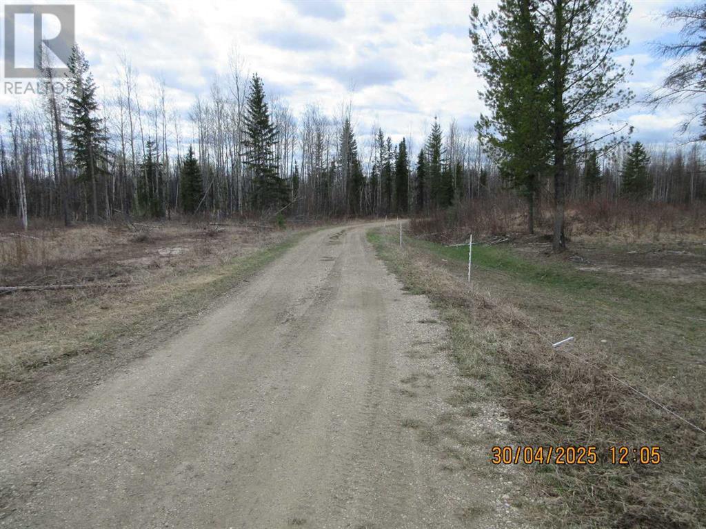 51504 Range Road 72, Tomahawk, Alberta  T7A 1S4 - Photo 2 - A2219331