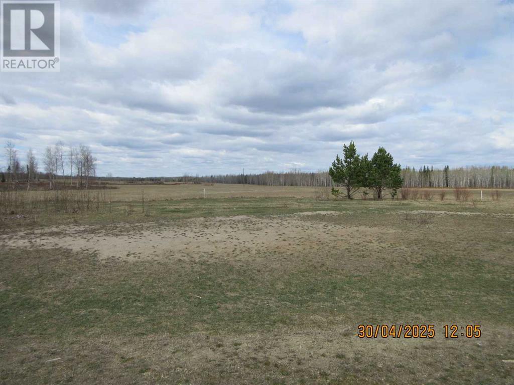 51504 Range Road 72, Tomahawk, Alberta  T7A 1S4 - Photo 18 - A2219331