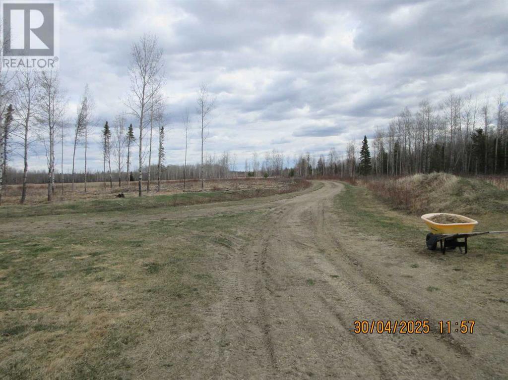 51504 Range Road 72, Tomahawk, Alberta  T7A 1S4 - Photo 3 - A2219331
