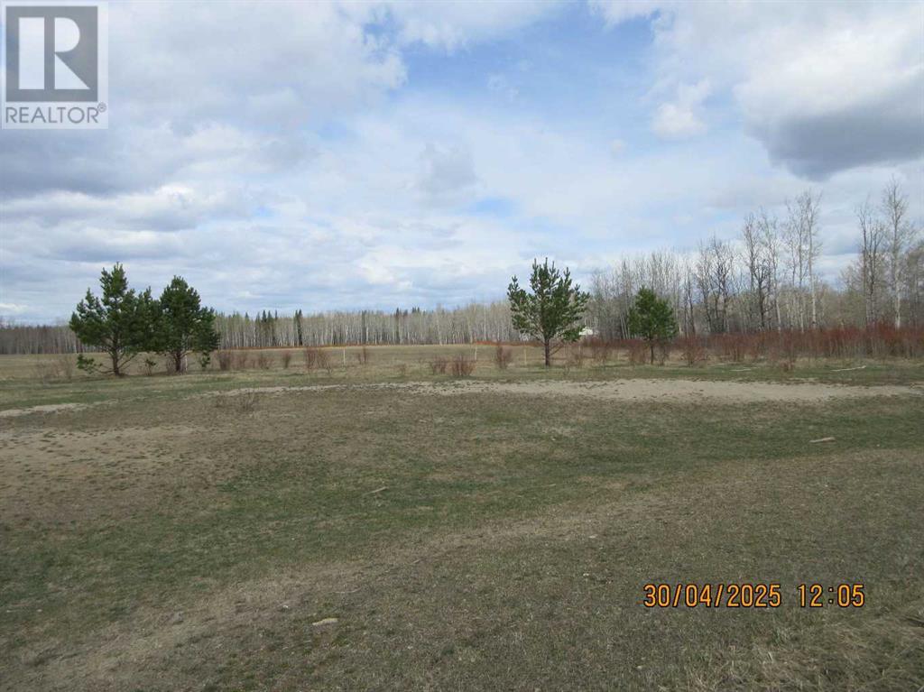 51504 Range Road 72, Tomahawk, Alberta  T7A 1S4 - Photo 19 - A2219331