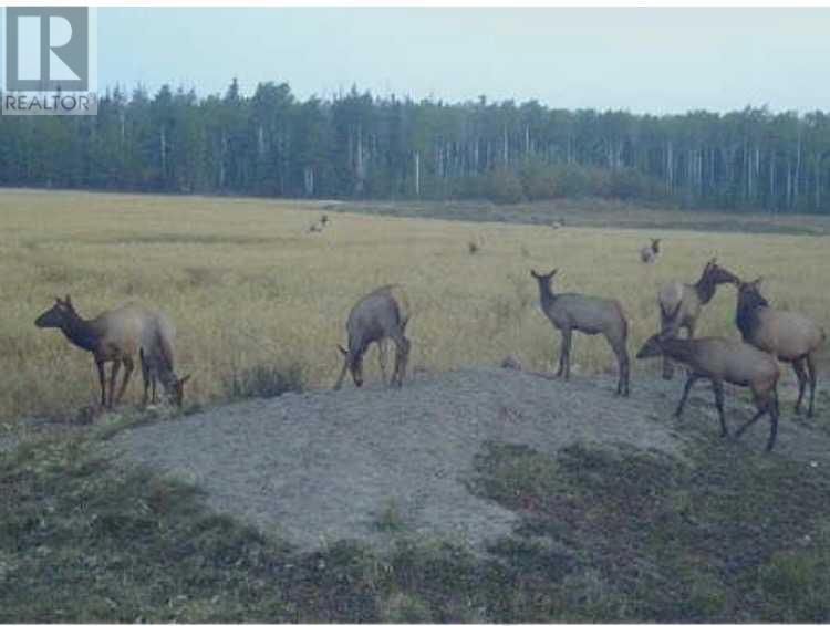 SE-8-79-8-W6 84 Range, rural saddle hills county, Alberta