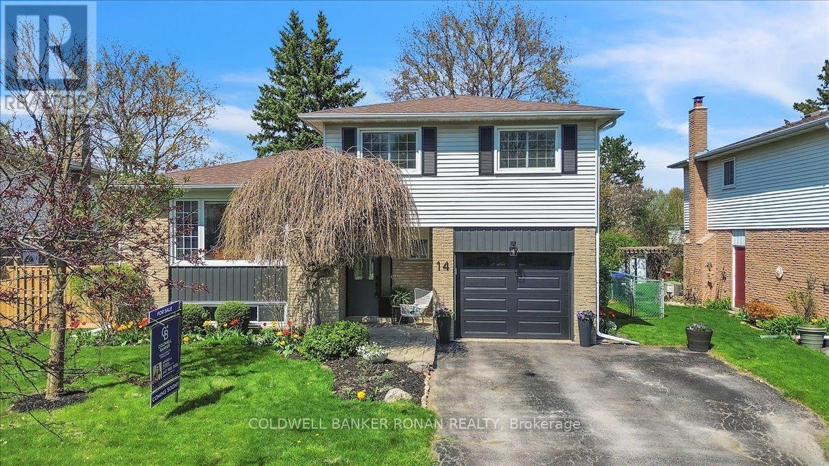 Property at 14 LIONEL STONE AVENUE E image 1