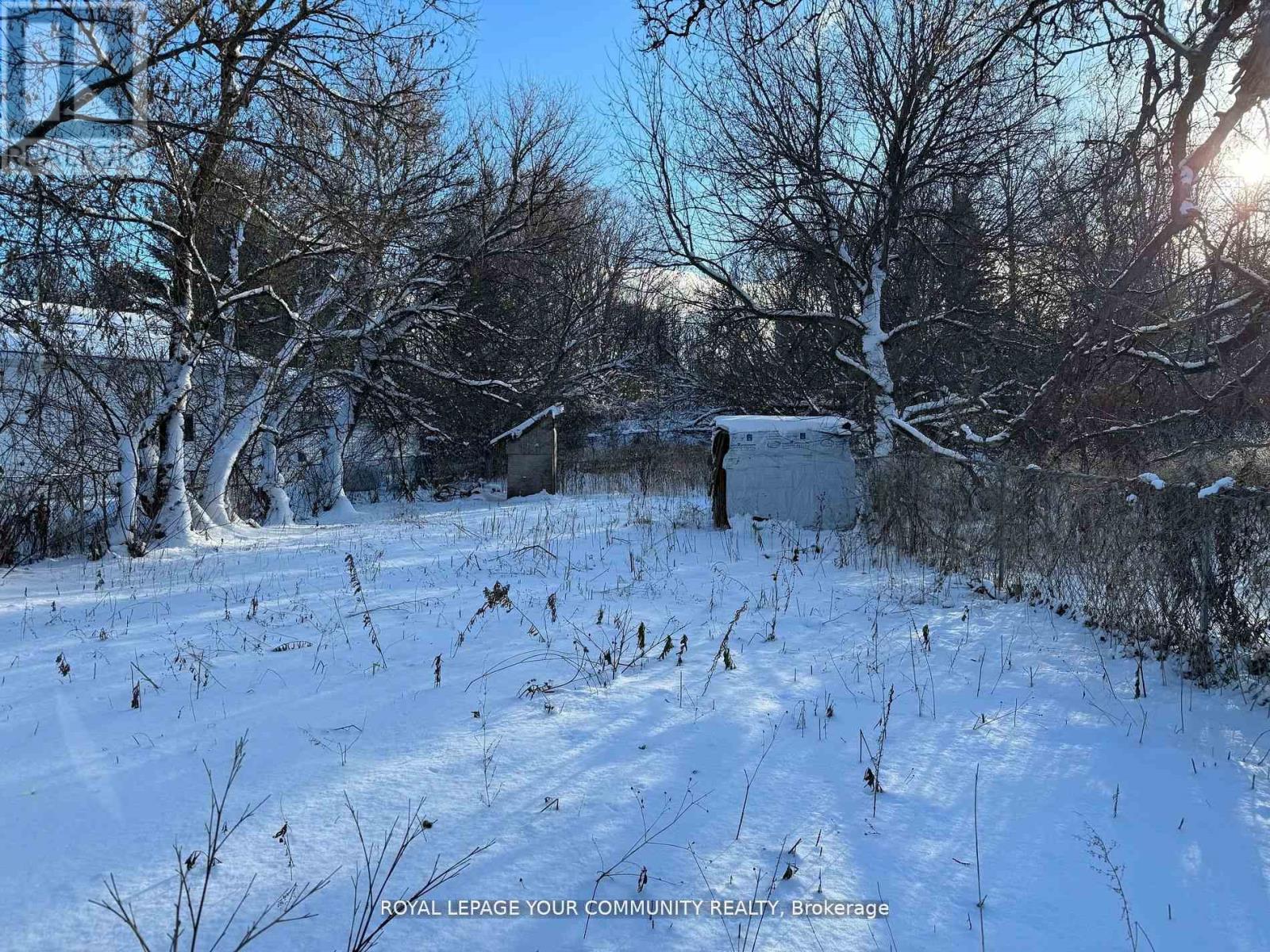 7485 Highway 35 Road, Kawartha Lakes, Ontario  K0M 2L0 - Photo 9 - X12135281