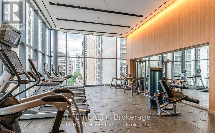 519 - 7 Grenville Street, Toronto, Ontario  M4Y 1A1 - Photo 27 - C12134152