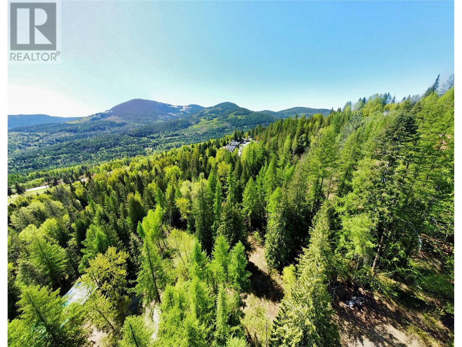 2009 Happy Valley Road, Rossland, British Columbia  V0G 1Y0 - Photo 13 - 10335837