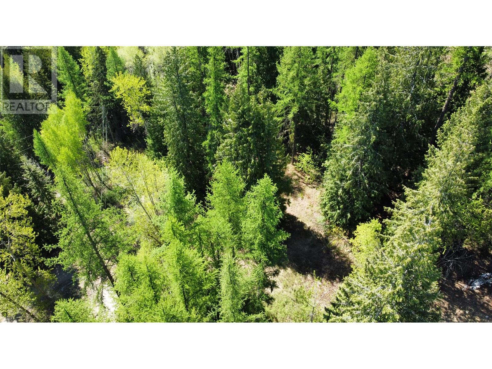 2009 Happy Valley Road, Rossland, British Columbia  V0G 1Y0 - Photo 8 - 10335837