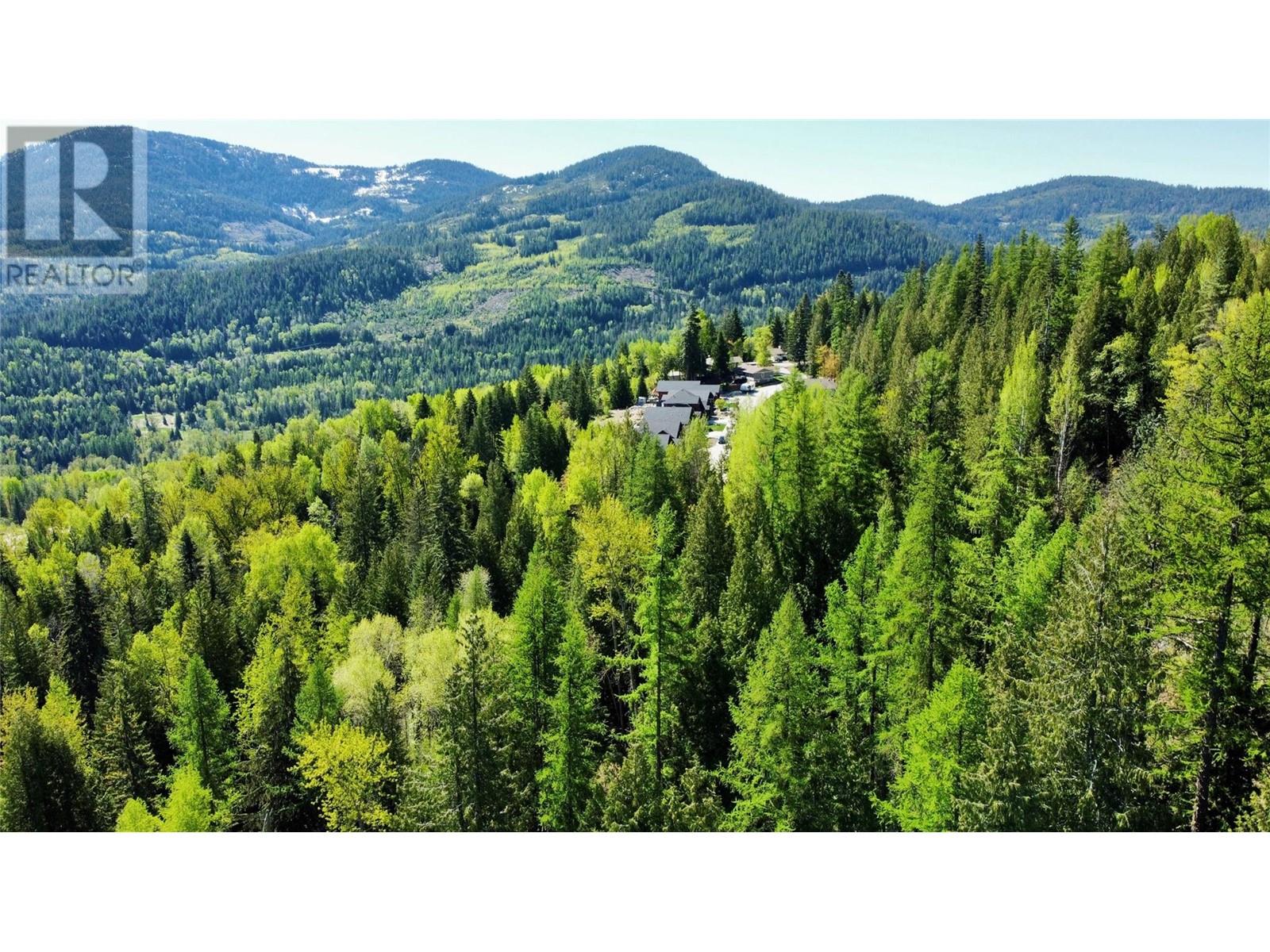 2009 Happy Valley Road, Rossland, British Columbia  V0G 1Y0 - Photo 2 - 10335837
