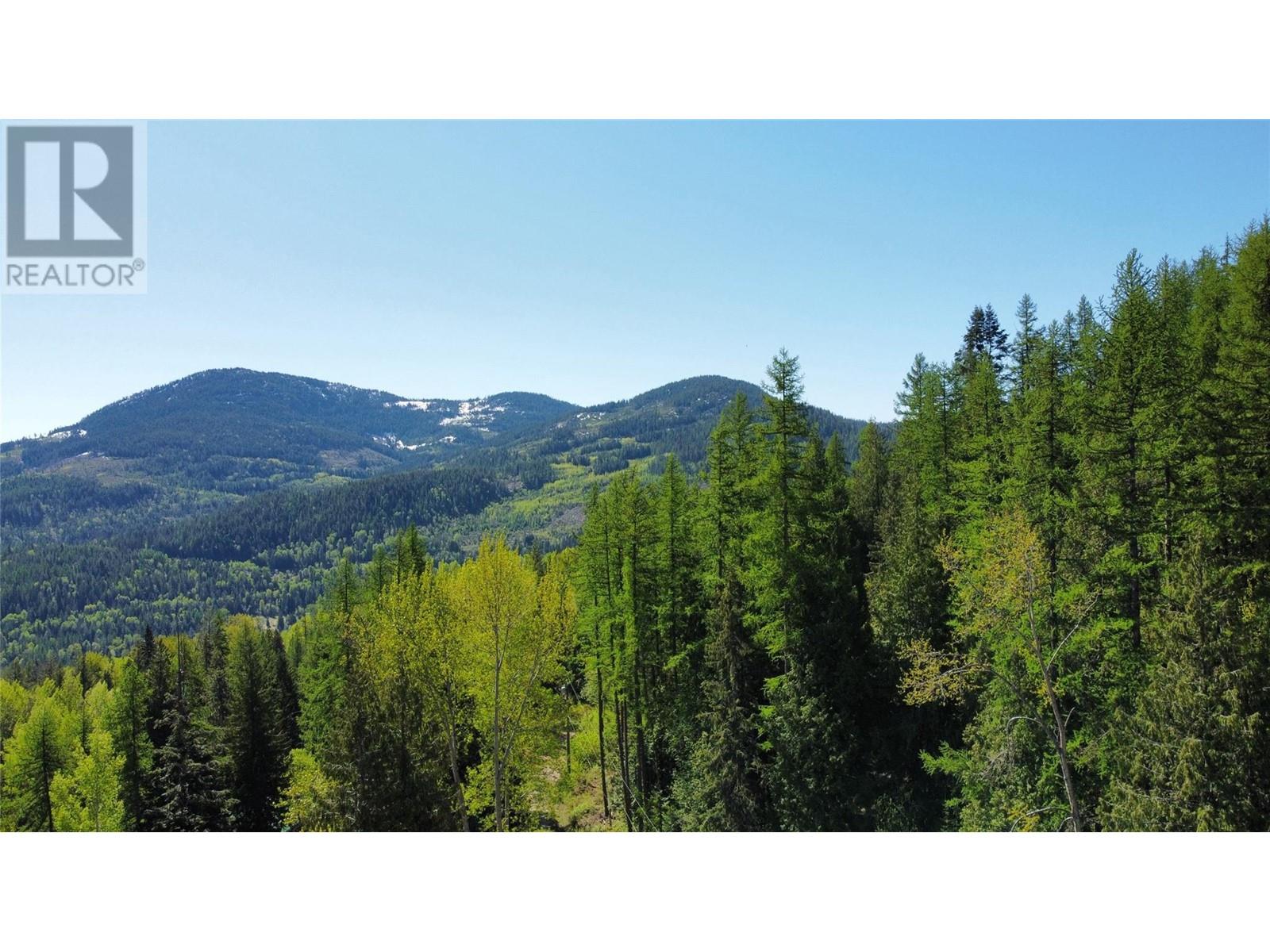 2009 Happy Valley Road, Rossland, British Columbia  V0G 1Y0 - Photo 10 - 10335837
