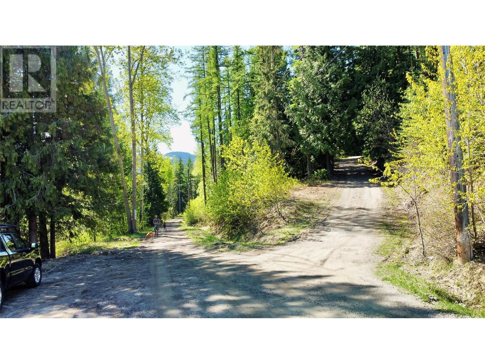 2009 Happy Valley Road, Rossland, British Columbia  V0G 1Y0 - Photo 3 - 10335837