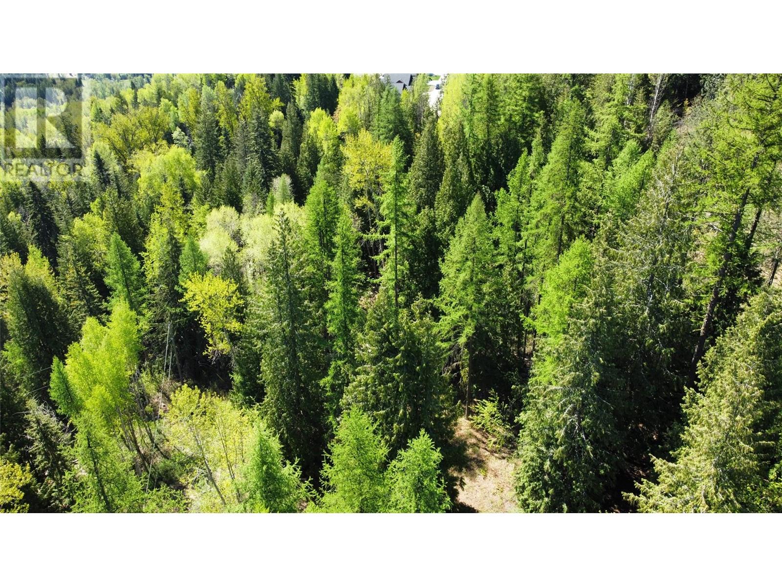 2009 Happy Valley Road, Rossland, British Columbia  V0G 1Y0 - Photo 12 - 10335837