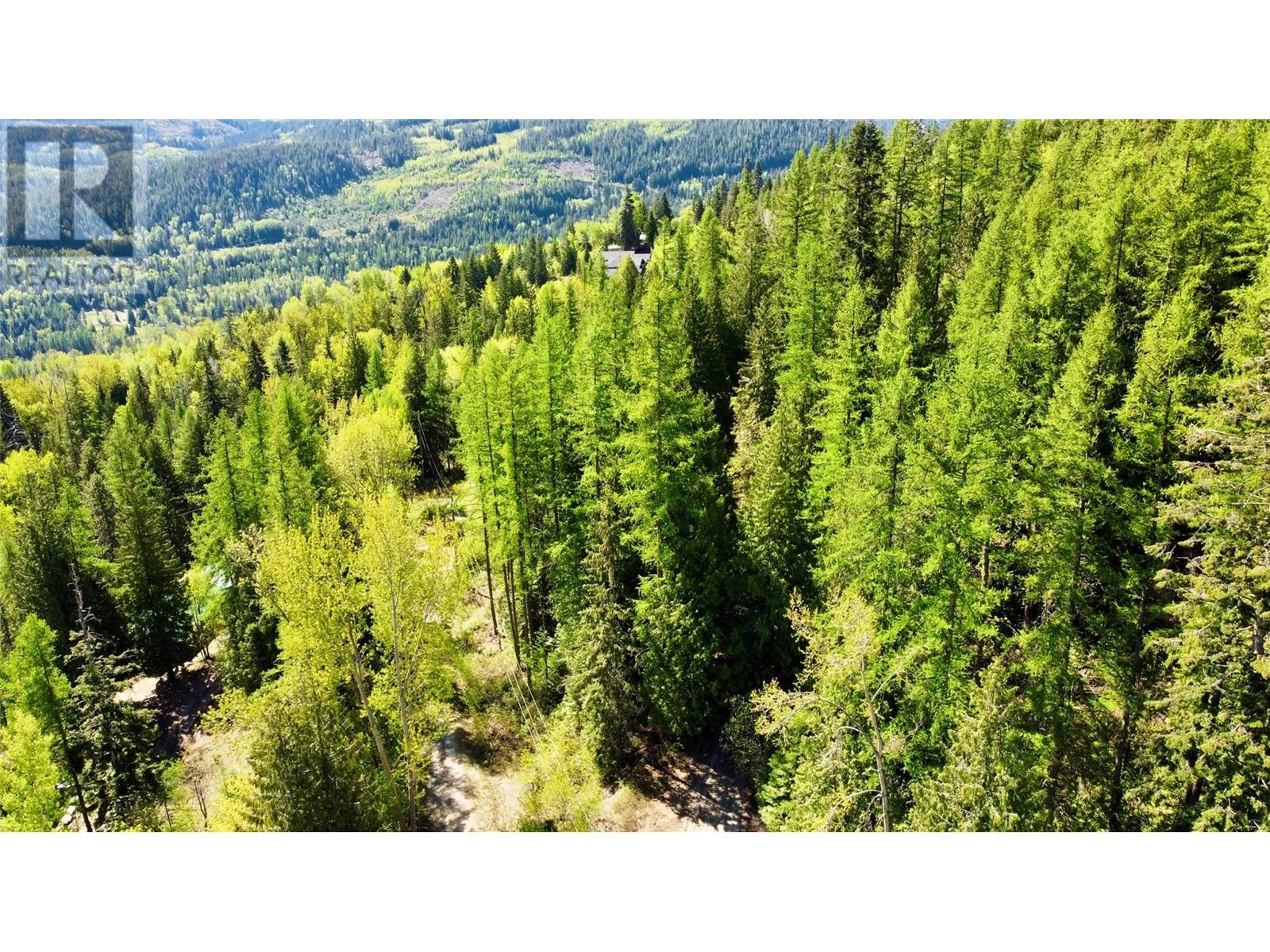 2009 Happy Valley Road, Rossland, British Columbia  V0G 1Y0 - Photo 6 - 10335837