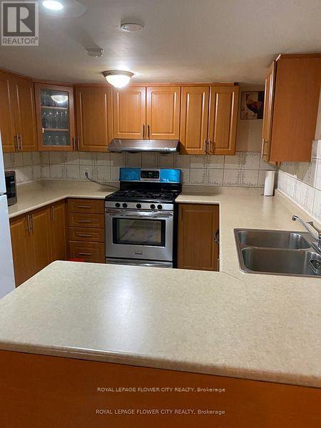 Basement - 555 Weir Avenue, Oakville, Ontario  L6L 4X3 - Photo 8 - W12135639