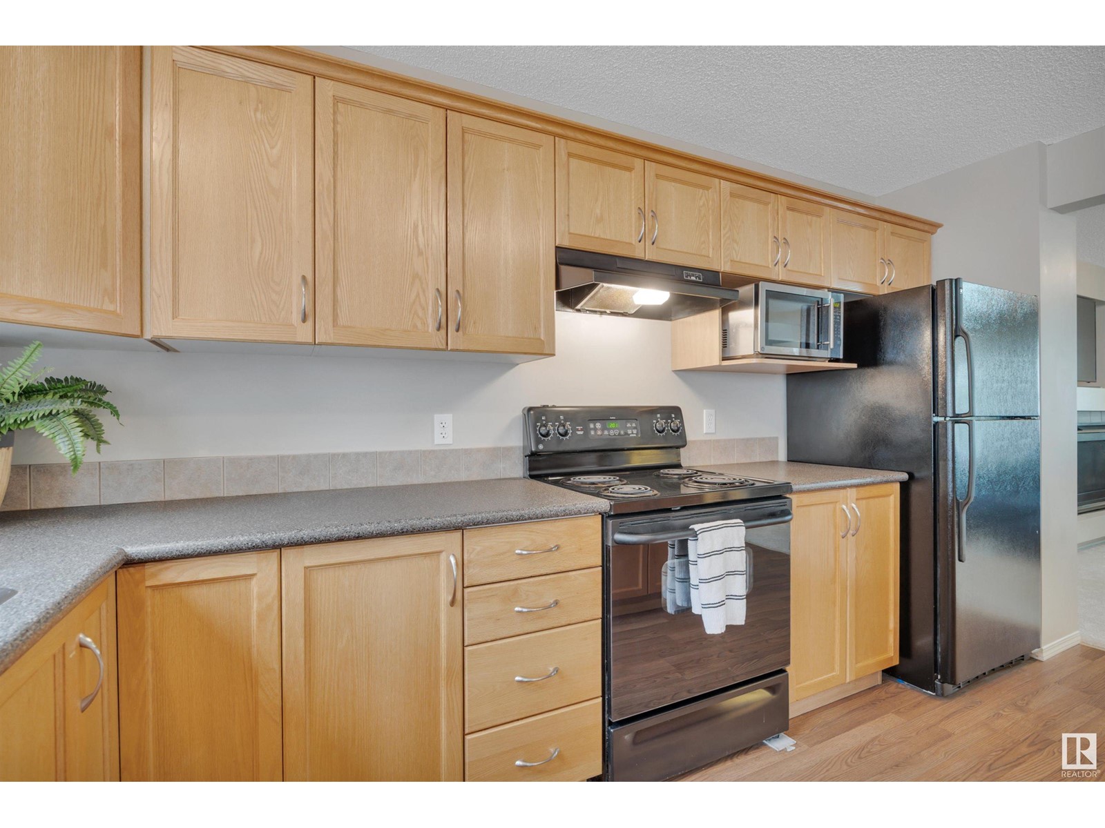14744 139 St Nw, Edmonton, Alberta  T6V 1R9 - Photo 12 - E4435362