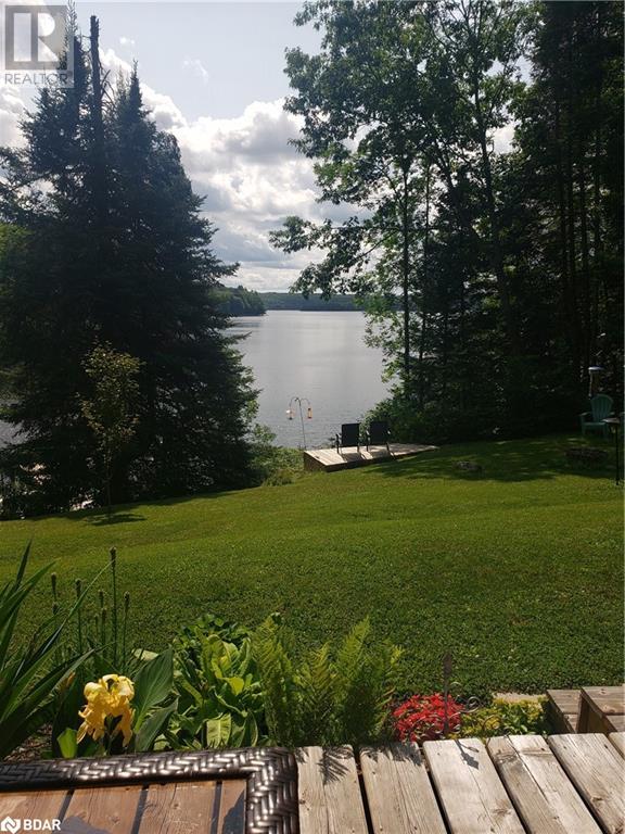1017 Rays Lane, Minden, Ontario  K0M 2K0 - Photo 6 - 40725795