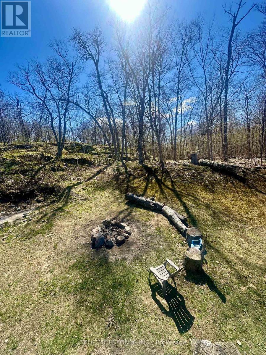 336 Clear Lake Road, Seguin, Ontario  P2A 2W8 - Photo 42 - X12082535