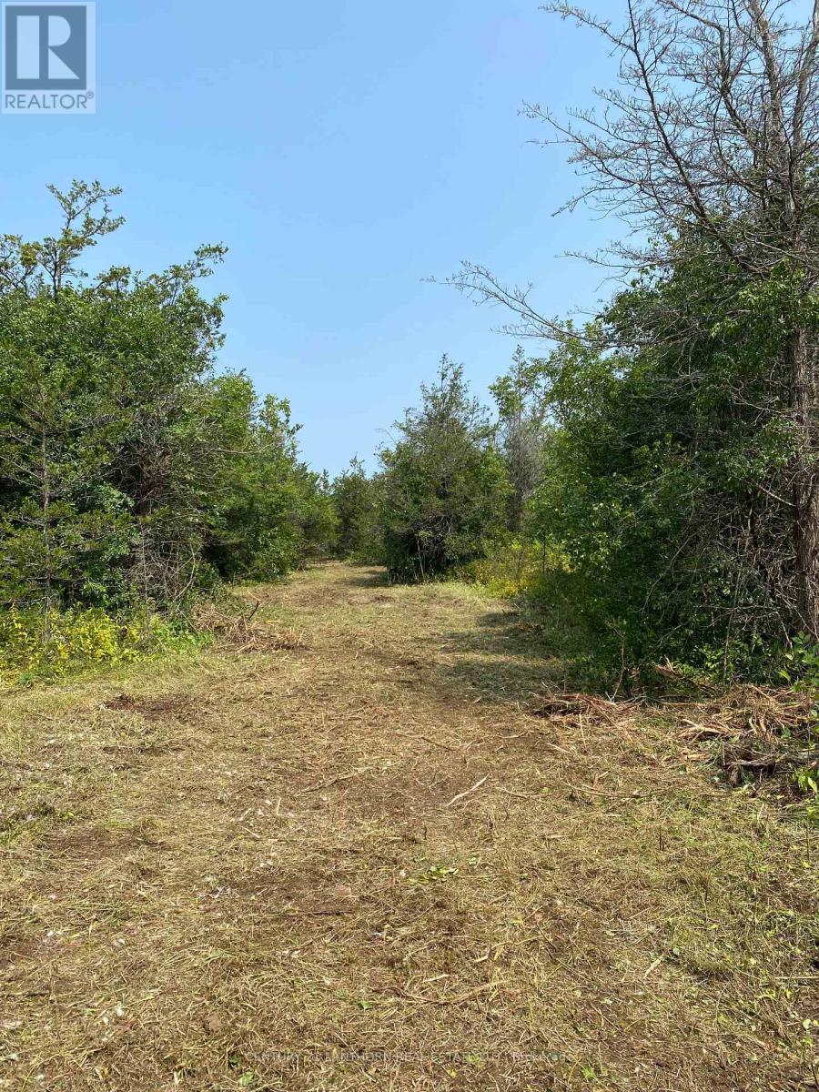 1677 County 8 Road, Prince Edward County (North Marysburg Ward), Ontario  K0K 2T0 - Photo 37 - X12135758