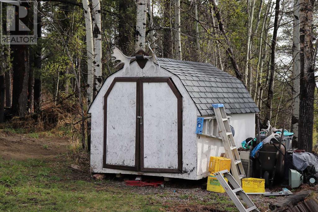 5001 51 Street, Robb, Alberta T0E 1X0 - Photo 15 - A2201092