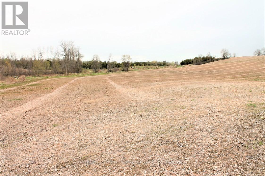 0 Harold Road, Stirling-Rawdon (Rawdon Ward), Ontario  K0K 3E0 - Photo 11 - X12135860