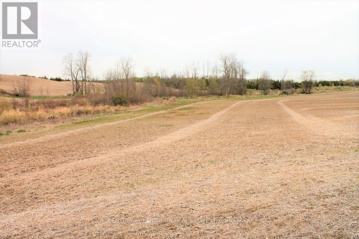0 Harold Road, Stirling-Rawdon (Rawdon Ward), Ontario  K0K 3E0 - Photo 12 - X12135860