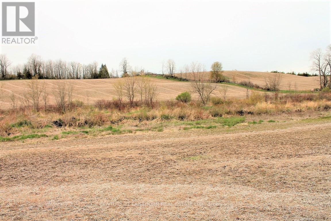 0 Harold Road, Stirling-Rawdon (Rawdon Ward), Ontario  K0K 3E0 - Photo 15 - X12135860
