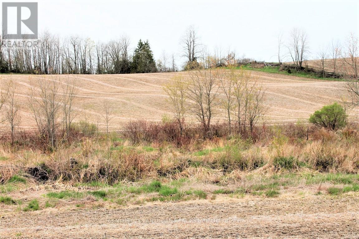 0 Harold Road, Stirling-Rawdon (Rawdon Ward), Ontario  K0K 3E0 - Photo 18 - X12135860