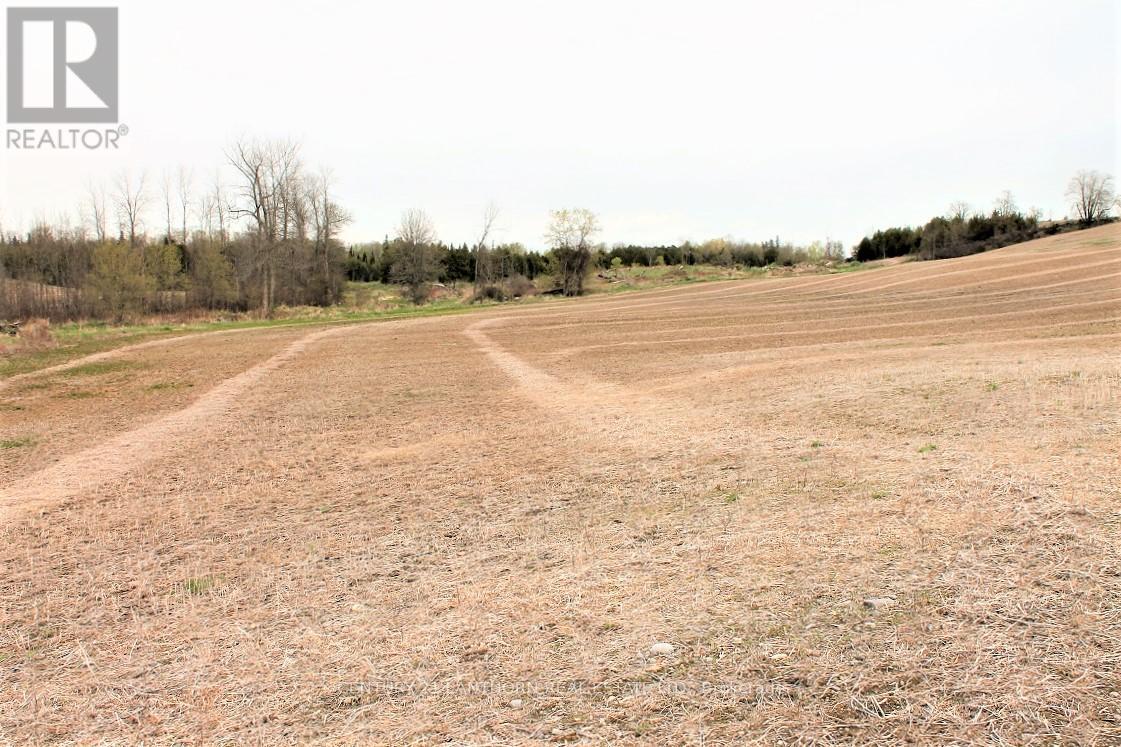 0 Harold Road, Stirling-Rawdon (Rawdon Ward), Ontario  K0K 3E0 - Photo 3 - X12135860
