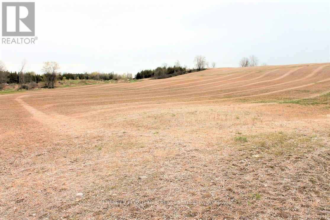0 Harold Road, Stirling-Rawdon (Rawdon Ward), Ontario  K0K 3E0 - Photo 4 - X12135860