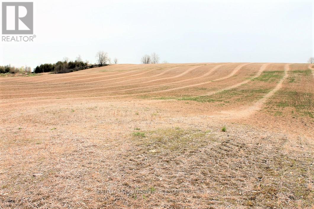 0 Harold Road, Stirling-Rawdon (Rawdon Ward), Ontario  K0K 3E0 - Photo 5 - X12135860