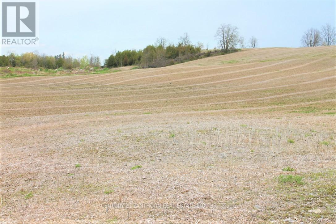 0 Harold Road, Stirling-Rawdon (Rawdon Ward), Ontario  K0K 3E0 - Photo 8 - X12135860