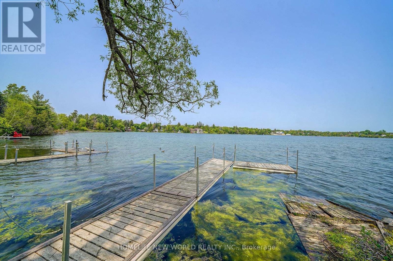 5741 Lakeshore Road, Whitchurch-Stouffville, Ontario  L4A 2Z4 - Photo 8 - N12135853