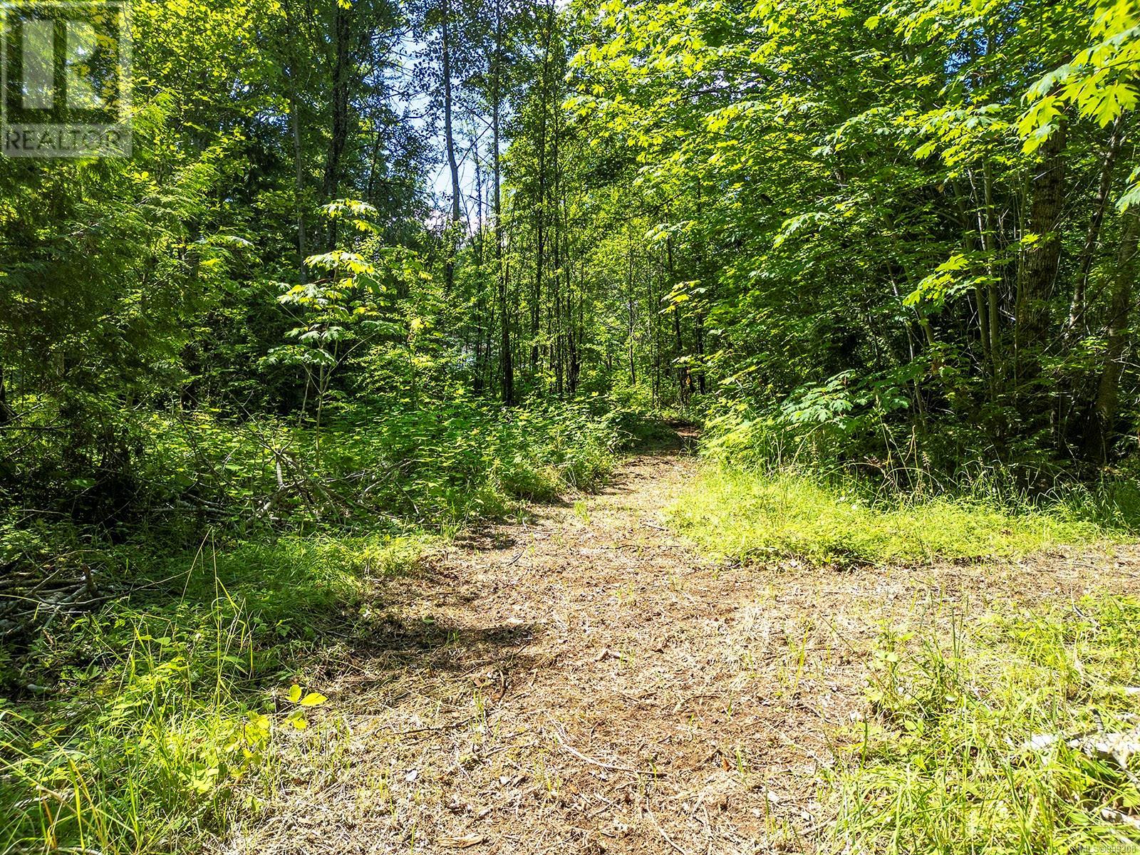 Lot 4 Cumberland Rd, Courtenay, British Columbia  V9N 0X0 - Photo 8 - 999208