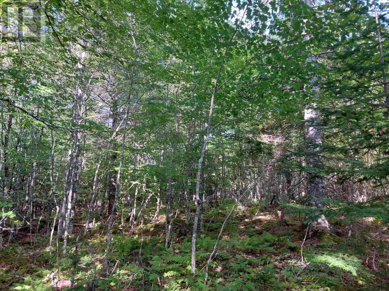 Lot 25 Doris Lane, Kempt Road, Nova Scotia  B0E 1J0 - Photo 10 - 202510382