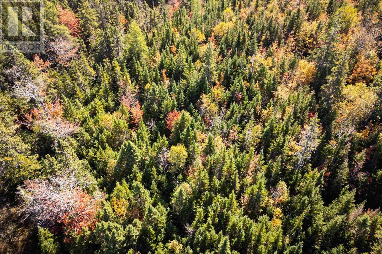 Lot 25 Doris Lane, Kempt Road, Nova Scotia  B0E 1J0 - Photo 8 - 202510382