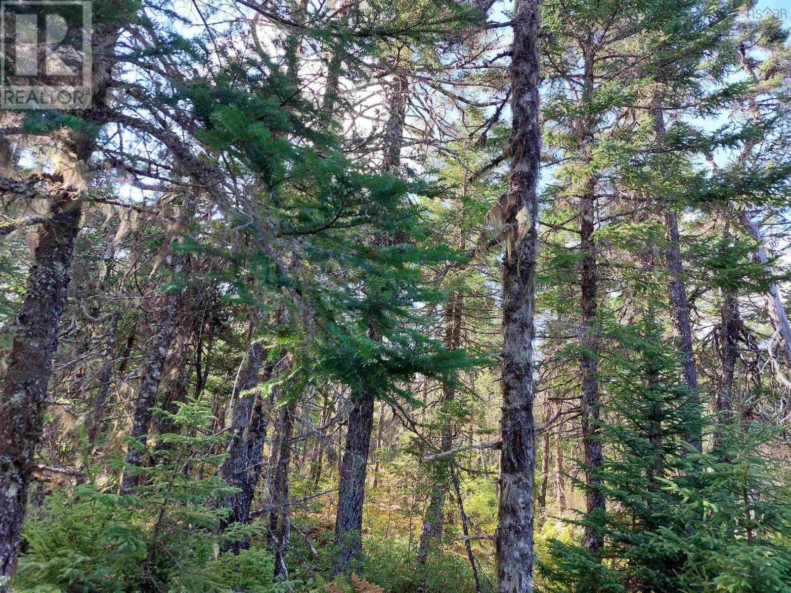Lot 25 Doris Lane, Kempt Road, Nova Scotia  B0E 1J0 - Photo 9 - 202510382